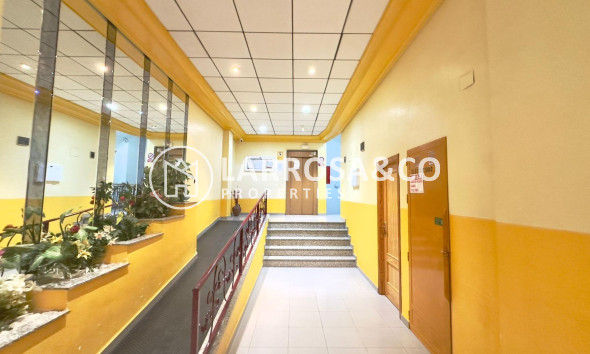 Reventa - Atico - Torrevieja - Parque de las Naciones