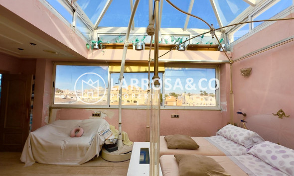 Вторичный рынок - Пентхаус - Торревьеха - Centro