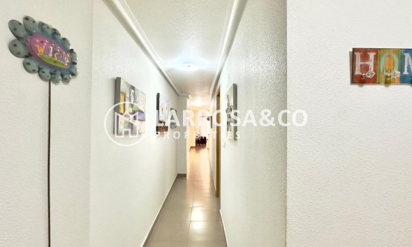 Вторичный рынок - Квартира - Торревьеха - torrevieja