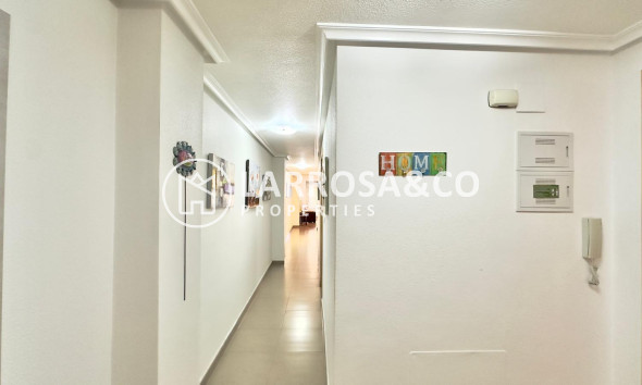 Вторичный рынок - Квартира - Торревьеха - torrevieja