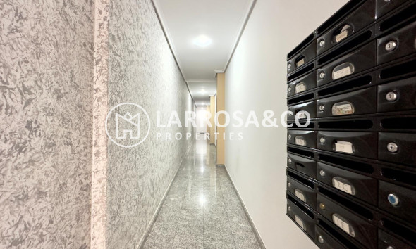 Вторичный рынок - Квартира - Торревьеха - torrevieja