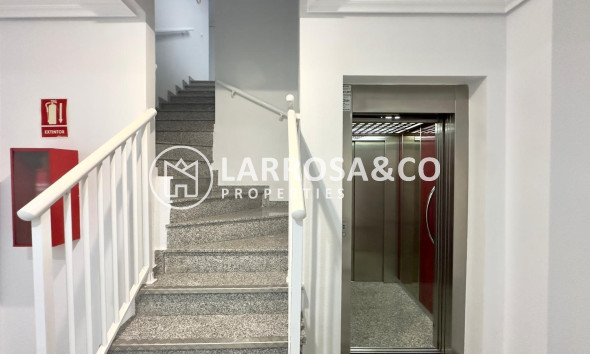 Вторичный рынок - Квартира - Торревьеха - torrevieja