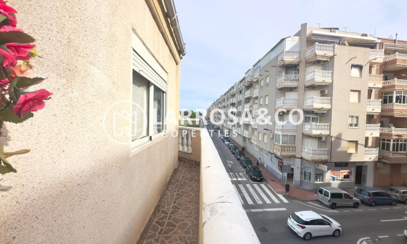 A Vendre - Penthouse  - Torrevieja - Estacion de autobuses