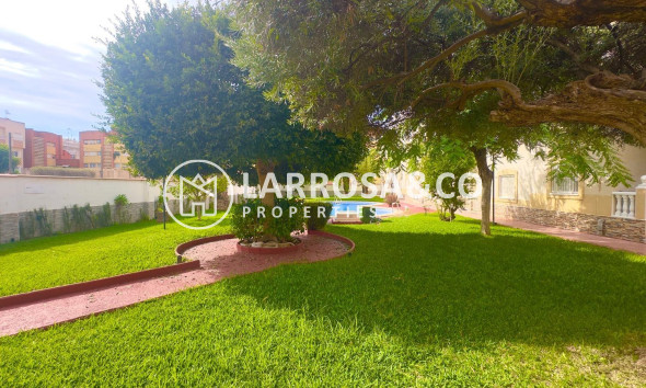 A Vendre - Penthouse  - Torrevieja - Estacion de autobuses