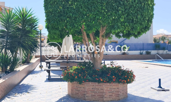 Herverkoop - Apartment - Torrevieja - Parque Acuático - Sector 25