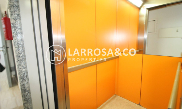 Reventa - Apartamento - Torrevieja - Centro