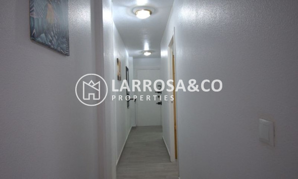 Вторичный рынок - Квартира - Торревьеха - Costa Blanca