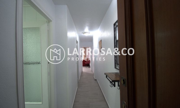 Вторичный рынок - Квартира - Торревьеха - Costa Blanca