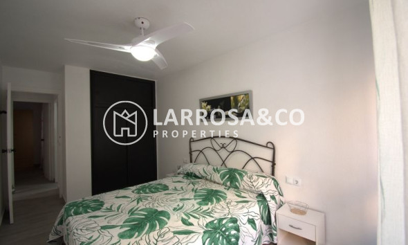 Вторичный рынок - Квартира - Торревьеха - Costa Blanca