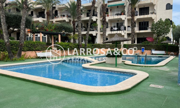 Resale - Apartment - Torrevieja - Miramar - Torre del Moro