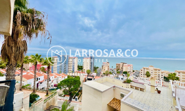 Resale - Apartment - Torrevieja - Miramar - Torre del Moro