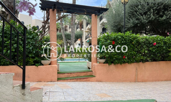 Resale - Apartment - Torrevieja - Miramar - Torre del Moro