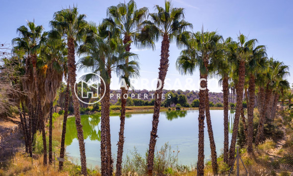 A Vendre - Villa - Orihuela costa - Costa Blanca