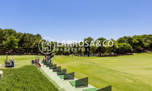 A Vendre - Villa - Orihuela costa - Costa Blanca