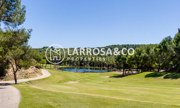 A Vendre - Villa - Orihuela costa - Costa Blanca