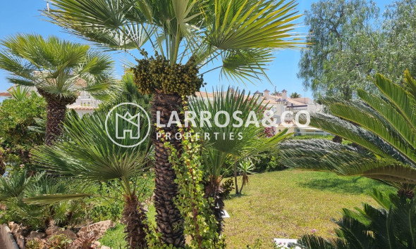 Resale - Apartment - Torrevieja - Los Balcones - Los Altos del Edén