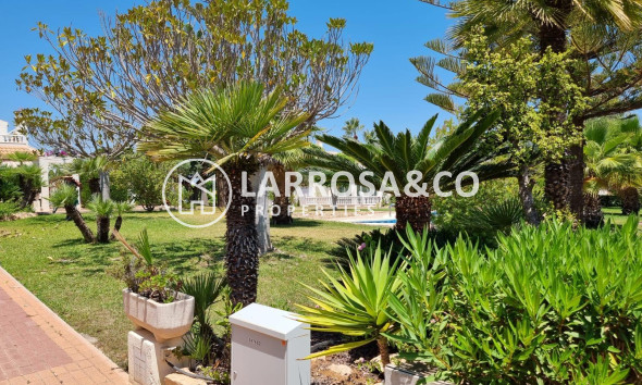 Resale - Apartment - Torrevieja - Los Balcones - Los Altos del Edén