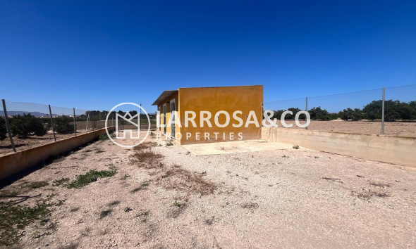 Вторичный рынок - Finca - Daya Nueva - La Bodega