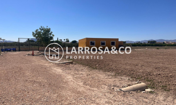 Вторичный рынок - Finca - Daya Nueva - La Bodega