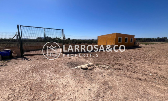 Вторичный рынок - Finca - Daya Nueva - La Bodega