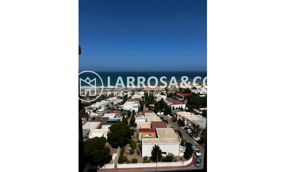 Resale - Apartment - Torrevieja - Cabo cervera