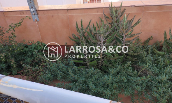 Resale - Apartment - Torrevieja - La Mata