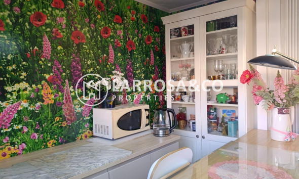 Вторичный рынок - Квартира - Торревьеха - torrevieja