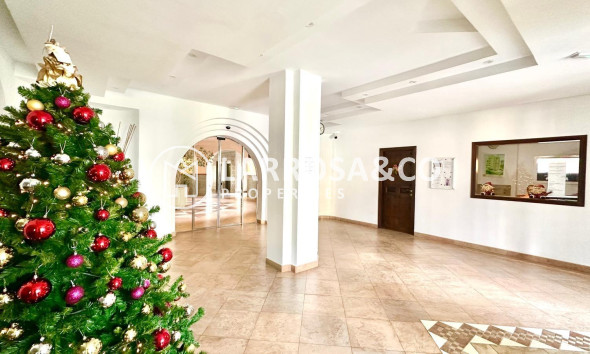 A Vendre - Apartment - Torrevieja - Los Frutales