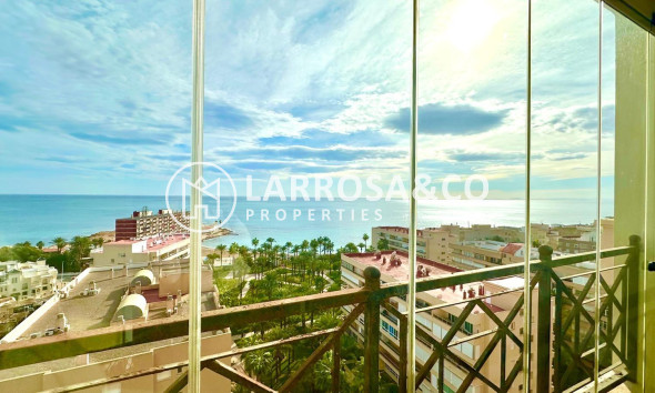 A Vendre - Apartment - Torrevieja - Los Frutales