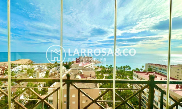 A Vendre - Apartment - Torrevieja - Los Frutales