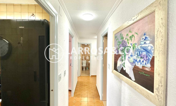 A Vendre - Penthouse  - Torrevieja - Centro