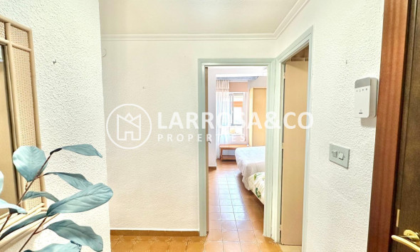 A Vendre - Penthouse  - Torrevieja - Centro