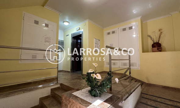 Herverkoop - Apartment - Torrevieja - Estacion de autobuses