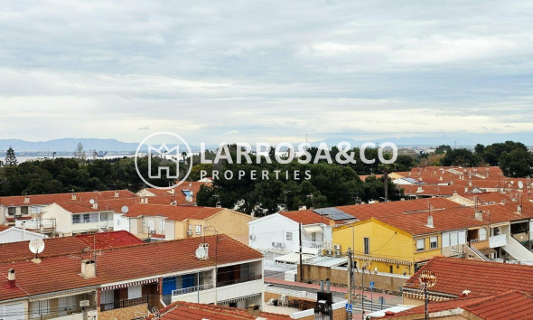 Resale - Apartment - Torrevieja - Playa de los Naufragos