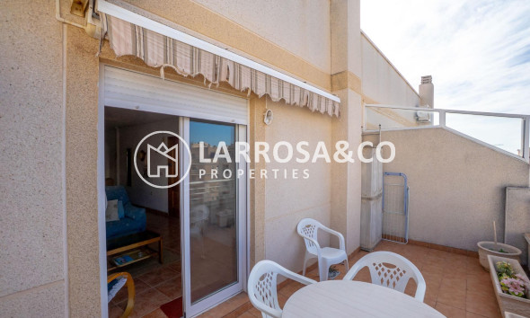 Resale - Penthouse  - Torrevieja - Centro