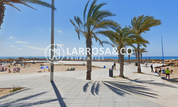 Resale - Apartment - Torrevieja - Paseo maritimo