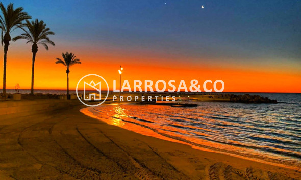 Resale - Apartment - Torrevieja - Paseo maritimo