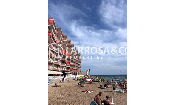 Resale - Apartment - Torrevieja - Los Locos Beach