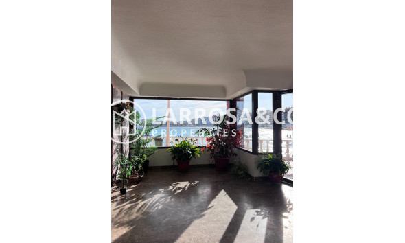 Resale - Apartment - Torrevieja - Los Locos Beach