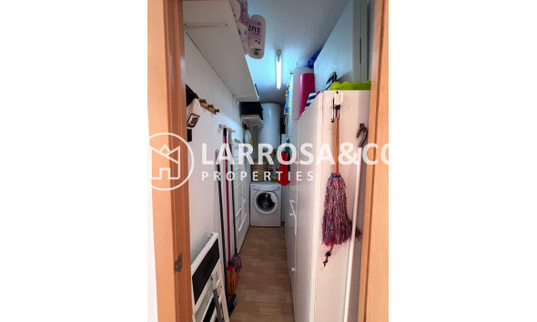 Resale - Apartment - Torrevieja - Los Locos Beach