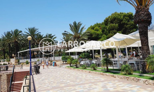 Herverkoop - Apartment - Torrevieja - Punta Prima