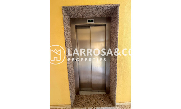 Resale - Apartment - Torrevieja - Cabo cervera