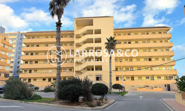 Resale - Apartment - Torrevieja - Cabo cervera