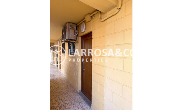 Resale - Apartment - Torrevieja - Cabo cervera