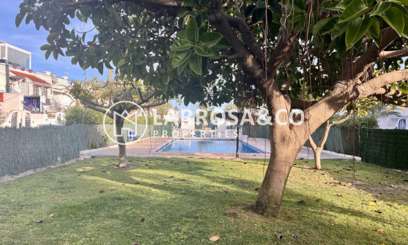 Вторичный рынок - Квартира - Торревьеха - Costa Blanca