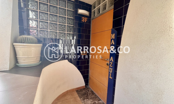 Вторичный рынок - Квартира - Торревьеха - Costa Blanca