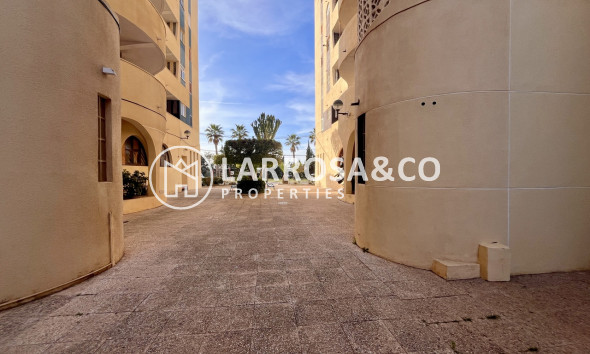 Вторичный рынок - Квартира - Торревьеха - Costa Blanca