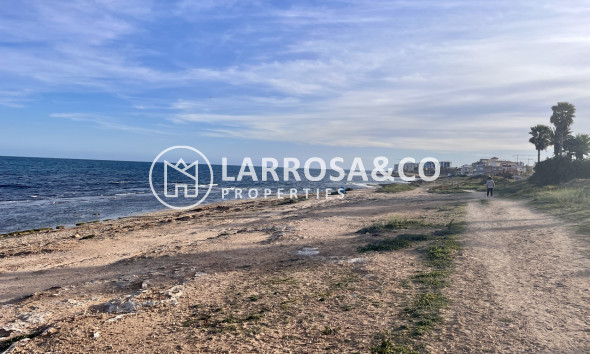 Вторичный рынок - Квартира - Торревьеха - Costa Blanca