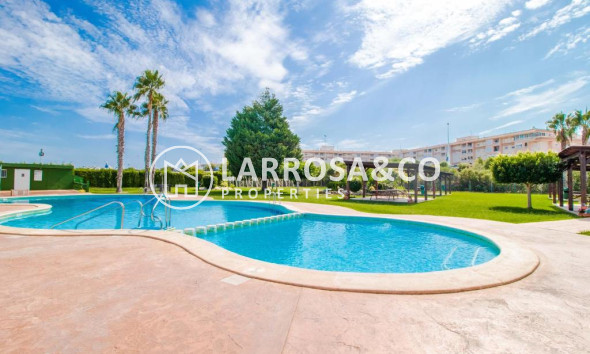 A Vendre - Penthouse  - Torrevieja - Costa Blanca