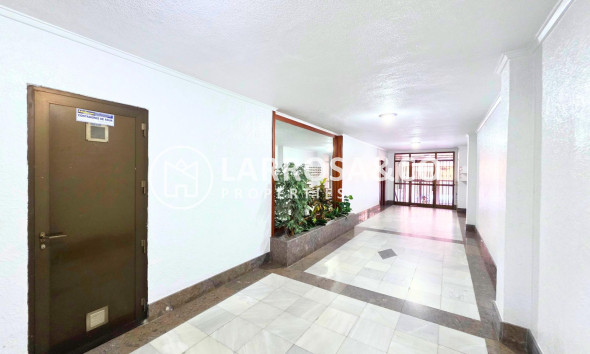 Reventa - Apartamento - Torrevieja - Playa del cura